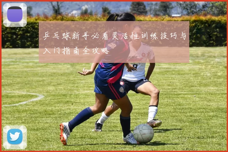 乒乓球新手必看灵活性训练技巧与入门指南全攻略