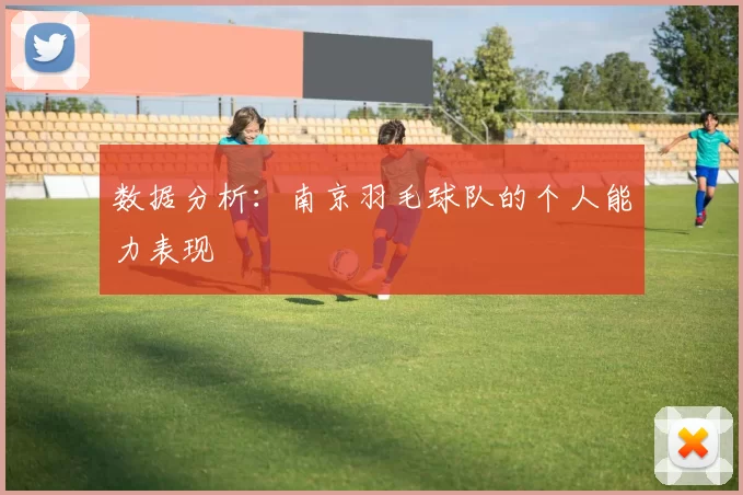 数据分析：南京羽毛球队的个人能力表现