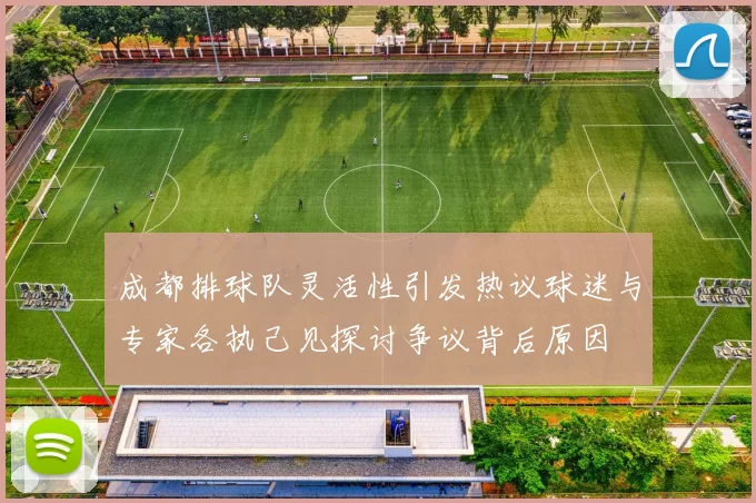 成都排球队灵活性引发热议球迷与专家各执己见探讨争议背后原因