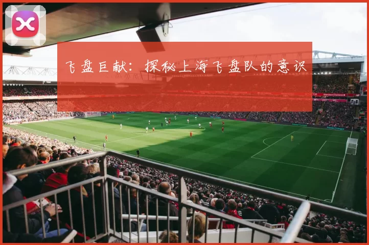 飞盘巨献：探秘上海飞盘队的意识