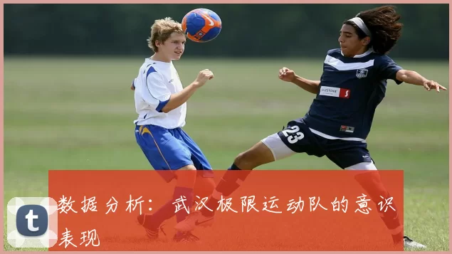 数据分析：武汉极限运动队的意识表现