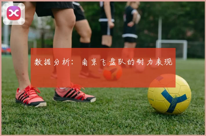 数据分析：南京飞盘队的耐力表现