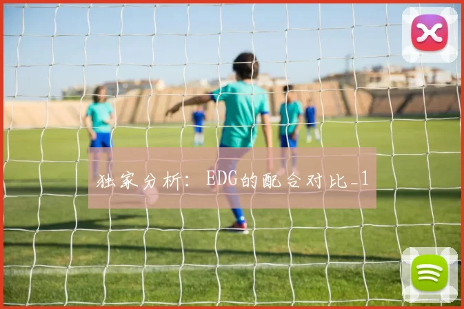 独家分析：EDG的配合对比_1
