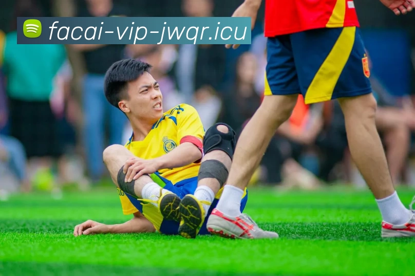 九游体育平台生态图